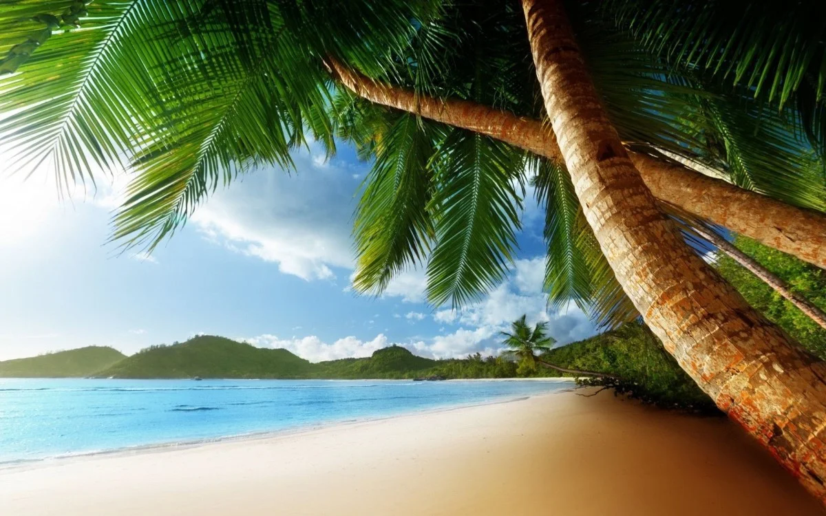 Tropical Beach
