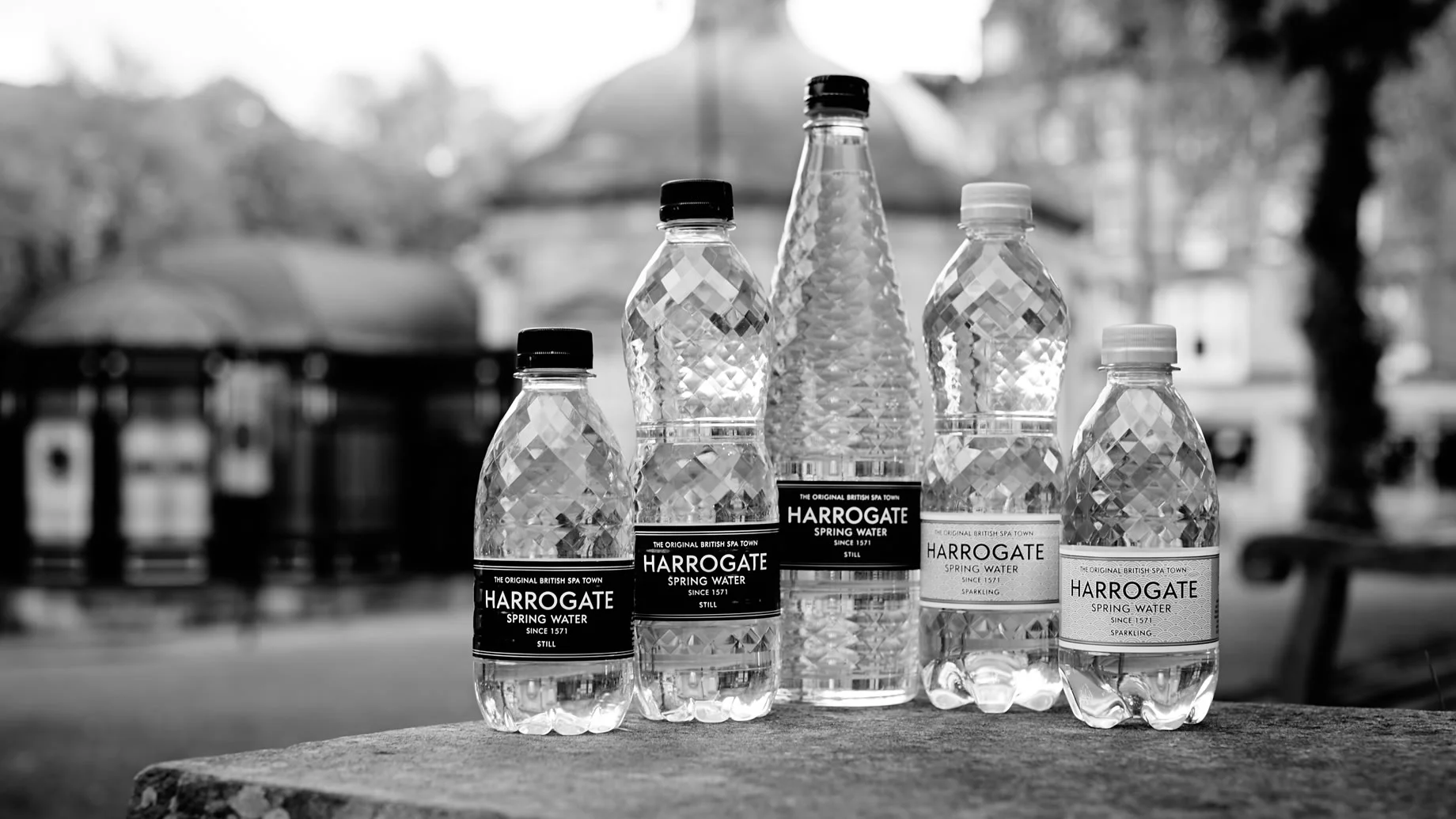 Harrogate Spring Water